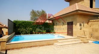 Pent house with pool for rent in maadi degla