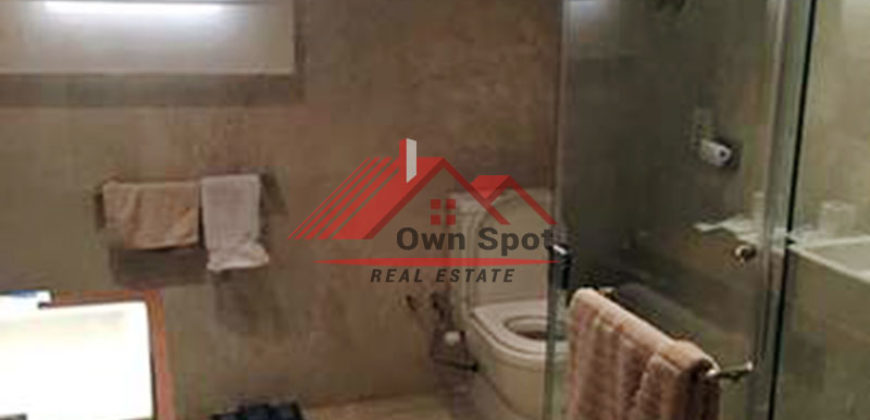 Pent house for rent in maadi degla