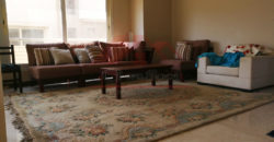  villa for rent in cairo fastivel city