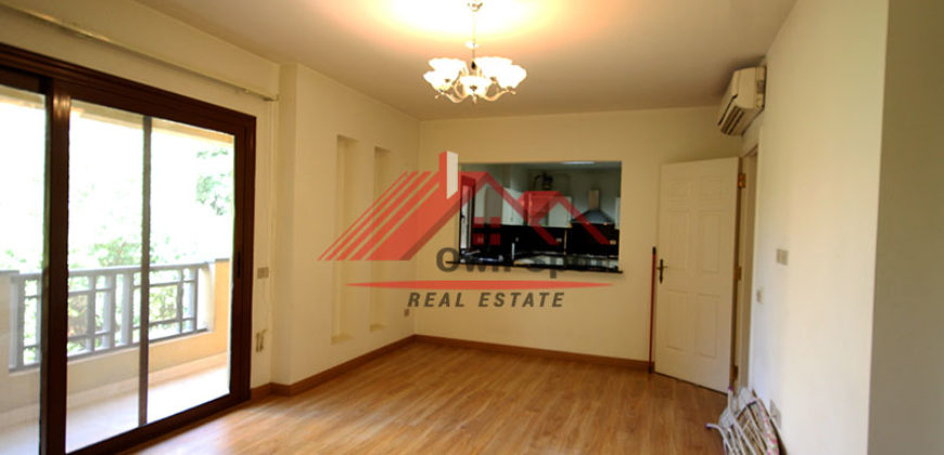 Good chance apartment for rent in maadi degla