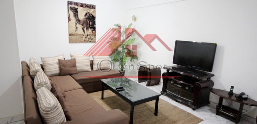 Duplex for rent in maadi sarayat