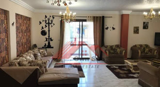Furnished apartment for rent in maadi sarayat