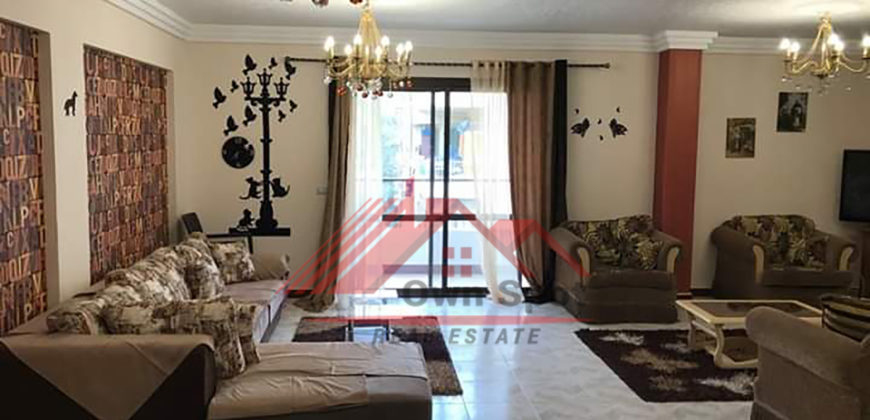 Furnished apartment for rent in maadi sarayat