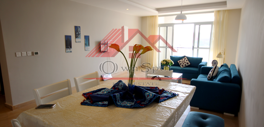 Brand new apartment for rent in cairo festival city