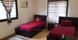 Furnished apartment for rent in maadi sarayat