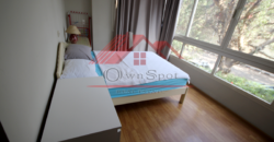 Amazing modern apartment for rent in maadi sarayat