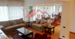 Lovely modern apartment for rent in maadi sarayat