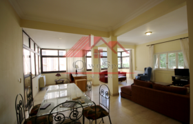 Good chance apartment for rent in maadi sarayat