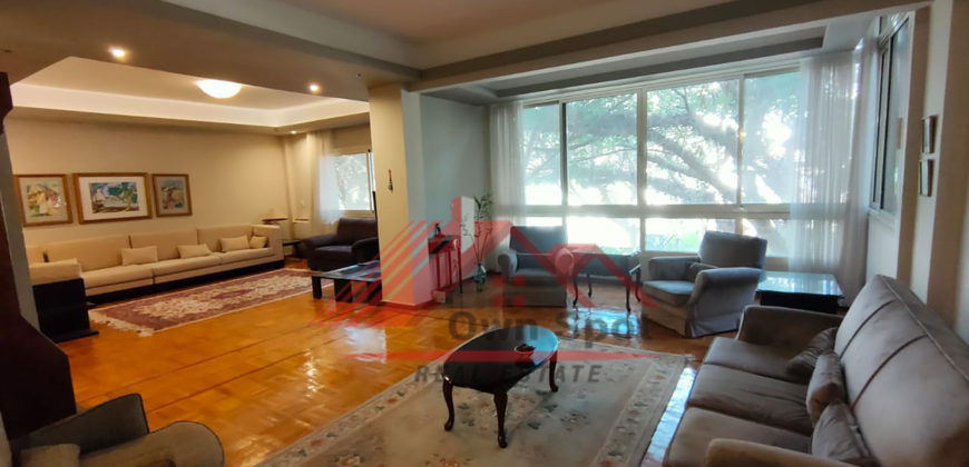 Modern apartment for rent in maadi sarayat