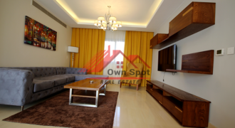 Fully furnished apartment for sale in cairo festival city