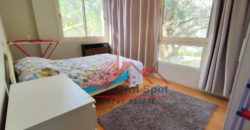 Modern apartment for rent in maadi sarayat