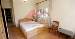 Good chance apartment for rent in maadi sarayat