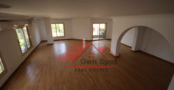 Penthouse with big terrace for rent in maadi sarayat