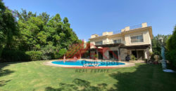 Wonderful villa for rent in katameya heights