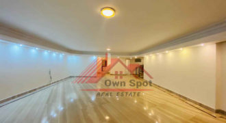 Modern penthouse for rent in maadi sarayat