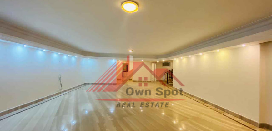 Modern penthouse for rent in maadi sarayat