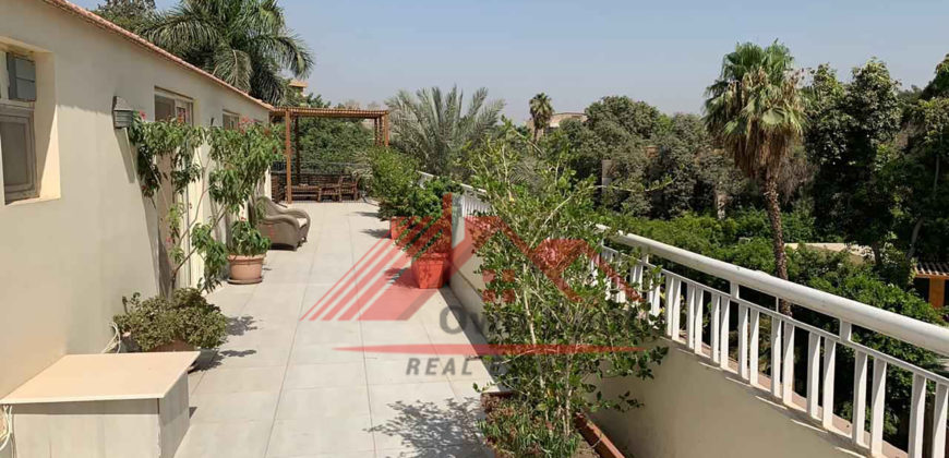 Penthouse with big terrace for rent in maadi sarayat