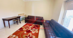 Furnished apartment for rent in shouyfat