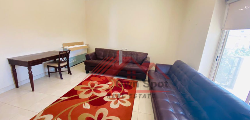 Furnished apartment for rent in shouyfat